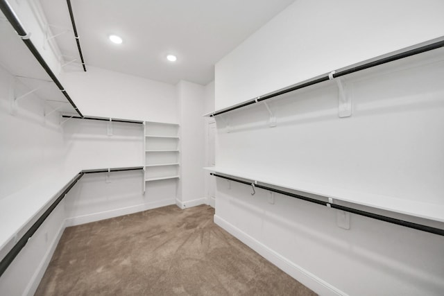 14807 Providence Manor Way, Cypress, TX 77429 - walk in closet with light carpet