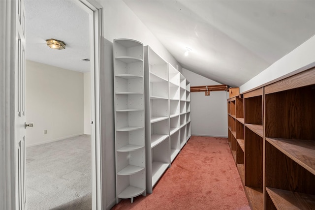 12223 Gladewick Dr, Houston, TX 77077 - view of storage area