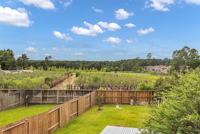 167 Axlewood Ct, Montgomery, TX 77316 - photo 17