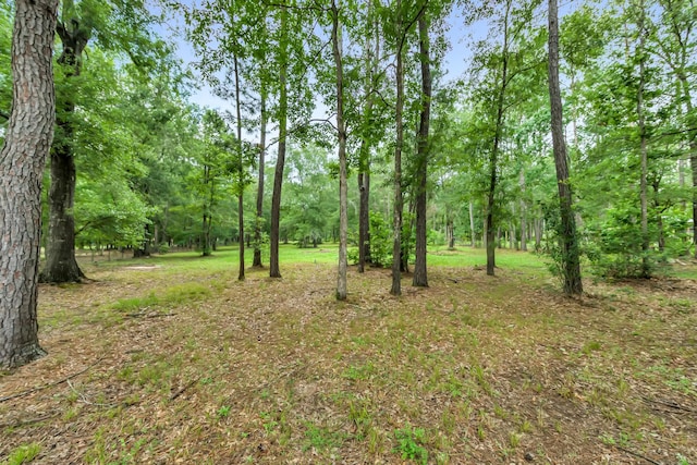 4214 Cross Cut, Cleveland, TX 77328 - view of local wilderness