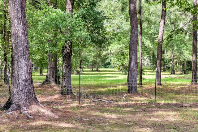 4214 Cross Cut, Cleveland, TX 77328 - view of undeveloped land