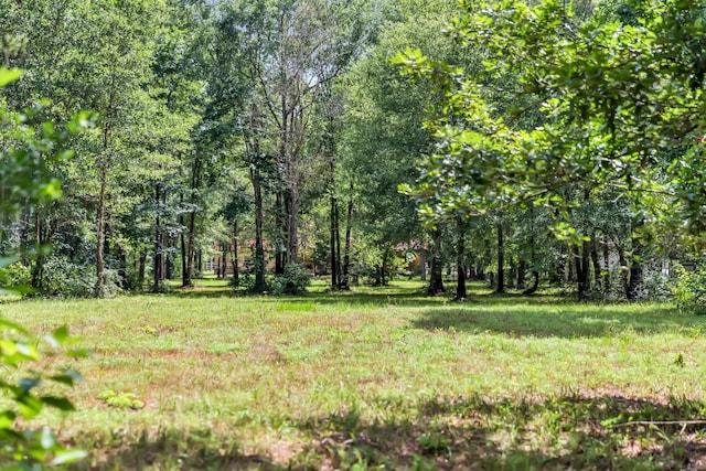 4214 Cross Cut, Cleveland, TX 77328 - view of yard