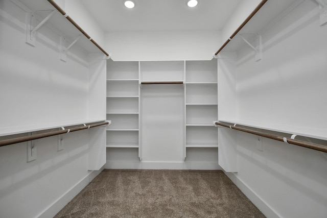 2610 Vance St, Houston, TX 77093 - spacious closet with carpet floors