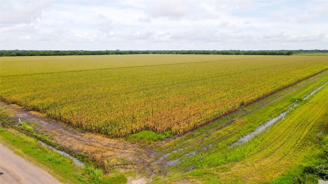 000 County Road 384, Louise, TX 77455 - photo 9