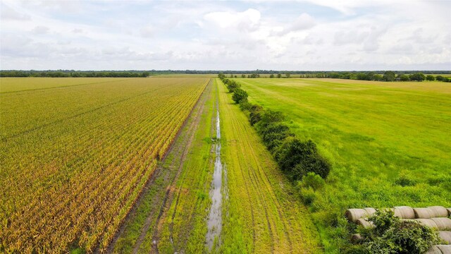 000 County Road 384, Louise, TX 77455 - photo 10