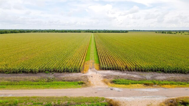 000 County Road 384, Louise, TX 77455 - photo 12