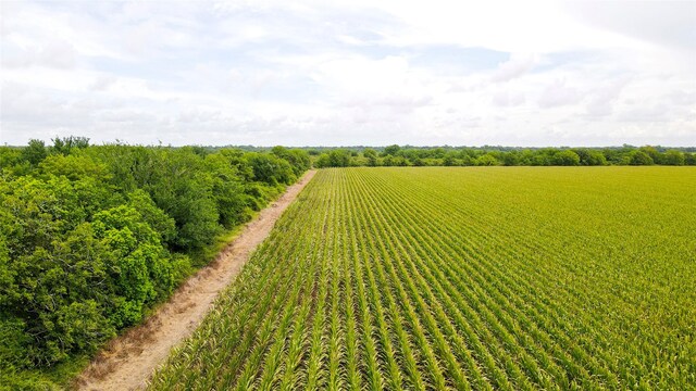 000 County Road 384, Louise, TX 77455 - photo 14