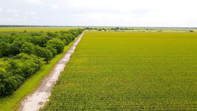 000 County Road 384, Louise, TX 77455 - photo 16