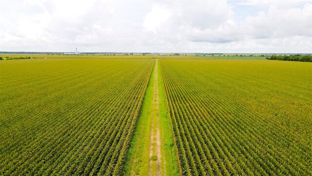 000 County Road 384, Louise, TX 77455 - photo 17