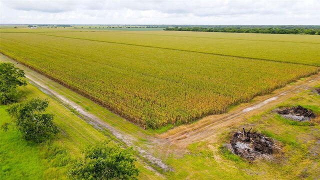 000 County Road 384, Louise, TX 77455 - photo 19