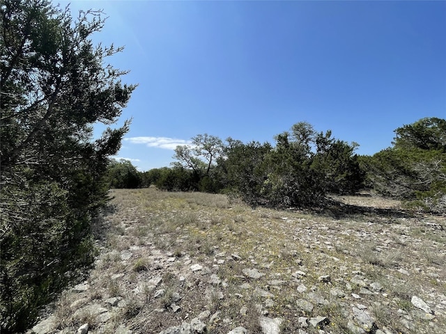 1117 Madrone, Fischer, TX 78623 - photo 1