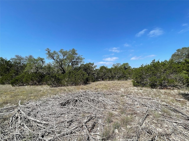 1117 Madrone, Fischer, TX 78623 - photo 4