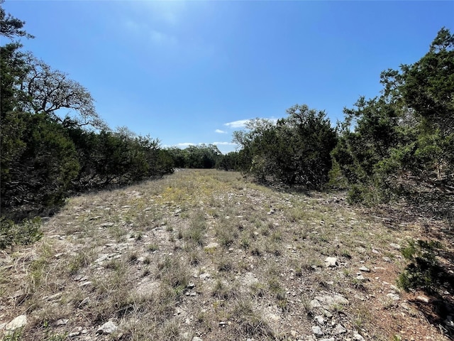 1117 Madrone, Fischer, TX 78623 - photo 5