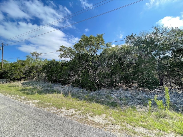 1117 Madrone, Fischer, TX 78623 - photo 7