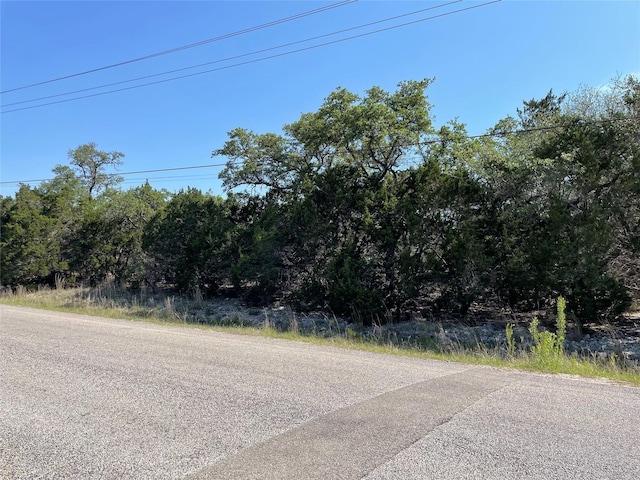 1117 Madrone, Fischer, TX 78623 - photo 8