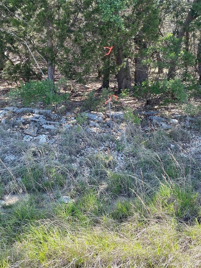 1117 Madrone, Fischer, TX 78623 - photo 9