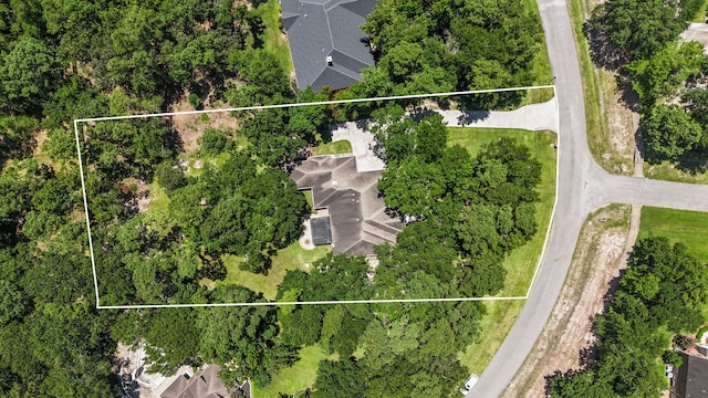 28322 Buena Way, Spring, TX 77386 - aerial view of property and surrounding area with property parcel outlined