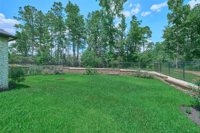 237 Patina Sorrel Dr, Montgomery, TX 77316 - view of fenced backyard