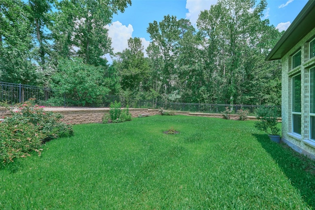 237 Patina Sorrel Dr, Montgomery, TX 77316 - view of fenced backyard