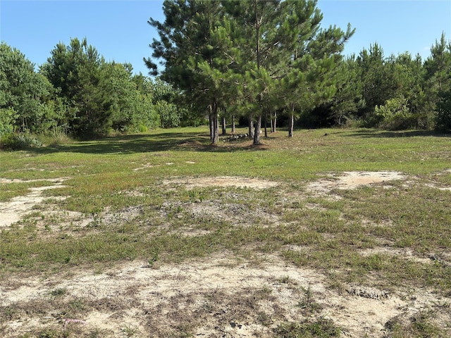 51 Rd 5102, Cleveland, TX 77327 - photo 4
