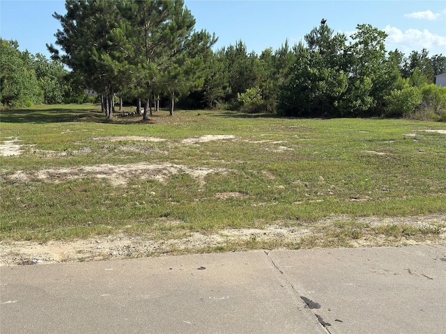 51 Rd 5102, Cleveland, TX 77327 - photo 5