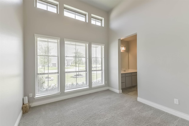 20519 Grazing Foal Ln, Tomball, TX 77377 - empty room featuring light carpet and a towering ceiling