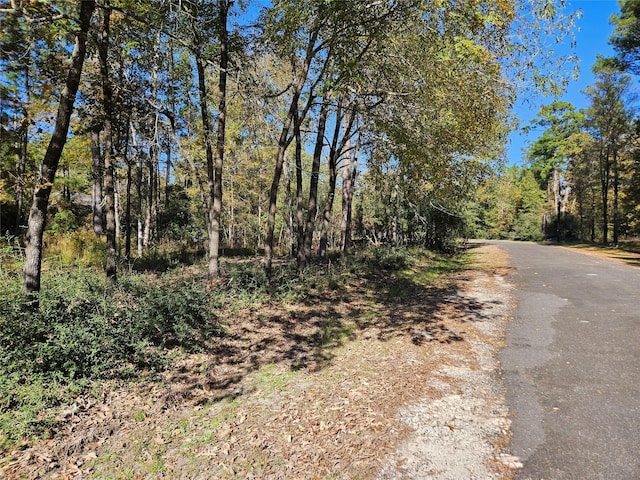 117 Deep Spgs, Trinity, TX 75862 - photo 1