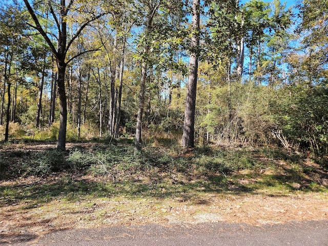 117 Deep Spgs, Trinity, TX 75862 - photo 2