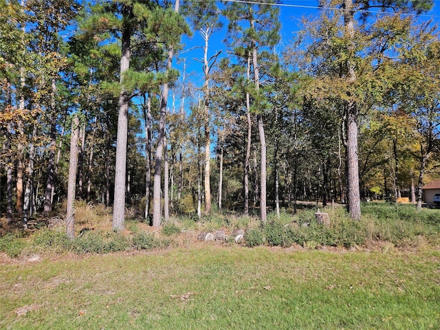 117 Deep Spgs, Trinity, TX 75862 - photo 3