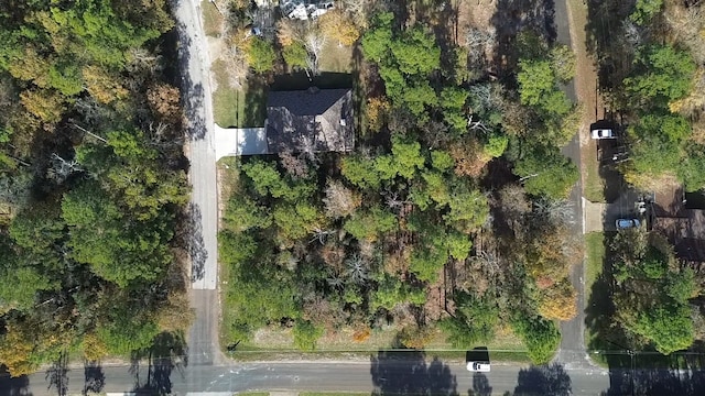 117 Deep Spgs, Trinity, TX 75862 - photo 4