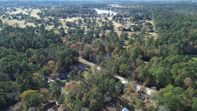 117 Deep Spgs, Trinity, TX 75862 - photo 5