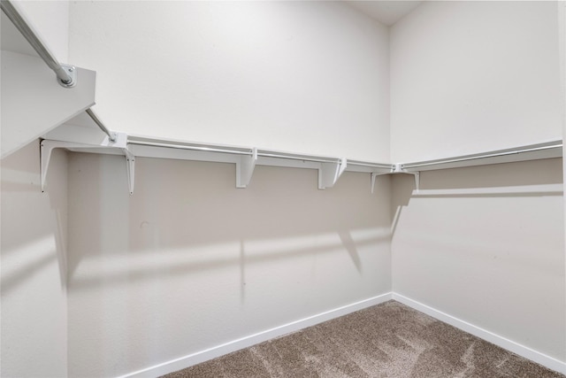 16711 Ramsay Cascades Dr, Humble, TX 77346 - walk in closet featuring carpet flooring