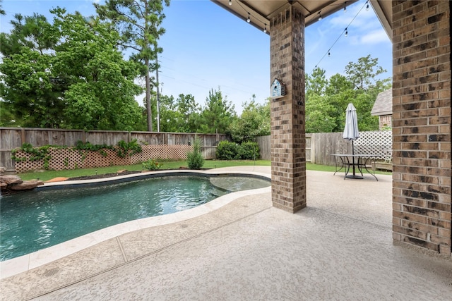 16711 Ramsay Cascades Dr, Humble, TX 77346 - view of pool with a fenced backyard and a patio area