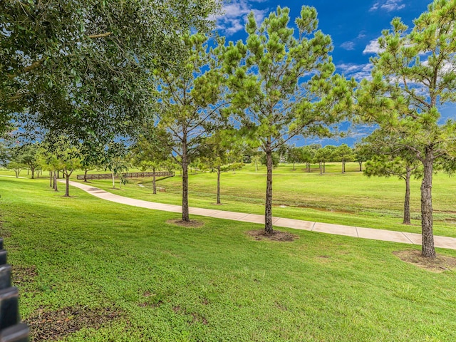 10527 Pebblecreek Xing, Katy, TX 77494 - photo 50