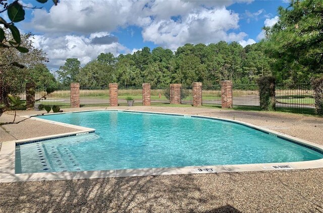 2501 Gulf Fwy Unit 246D, Dickinson, TX 77539 - view of community pool