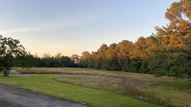 2501 Gulf Fwy Unit 246D, Dickinson, TX 77539 - view of property's community with a lawn and a forest view