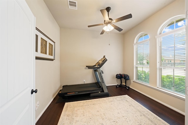 10002 Mahaffey Rd, Tomball, TX 77375 - exercise room featuring plenty of natural light, dark wood-style flooring, and ceiling fan