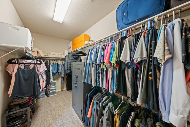 10002 Mahaffey Rd, Tomball, TX 77375 - spacious closet with carpet