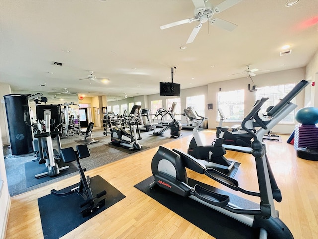 2400 Mccue Rd Unit 345, Houston, TX 77056 - exercise room featuring a ceiling fan and wood finished floors