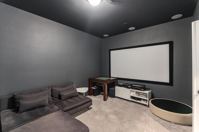 40 Snowdrop Lily Dr, Tomball, TX 77375 - carpeted home theater with a textured wall