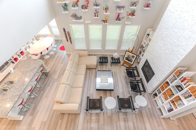 40 Snowdrop Lily Dr, Tomball, TX 77375 - living area with wood finished floors, a high ceiling, and a glass covered fireplace