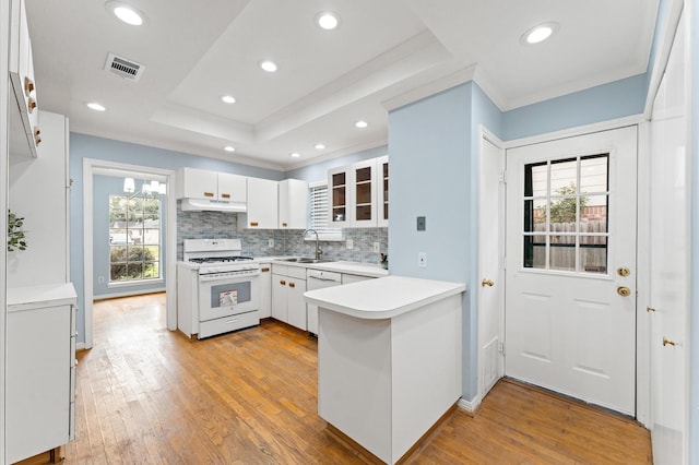 9310 Carvel Ln, Houston, TX 77036 - kitchen featuring white range with gas stovetop, ornamental molding, under cabinet range hood, a peninsula, and light wood-type flooring