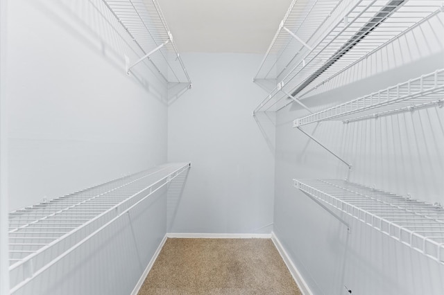 9310 Carvel Ln, Houston, TX 77036 - walk in closet with light carpet