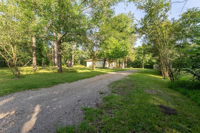 280 The Woods Rd, Coldspring, TX 77331 - photo 23