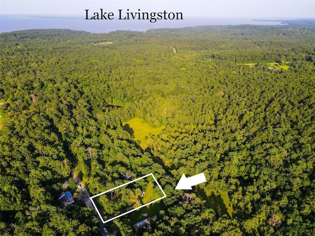 280 The Woods Rd, Coldspring, TX 77331 - photo 29