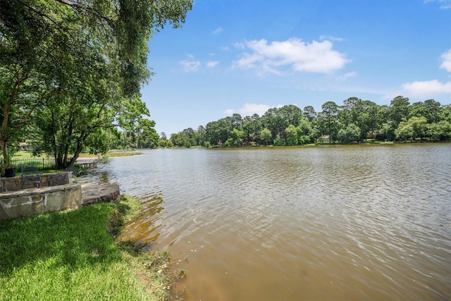 2217 Azalea Cir, Huntsville, TX 77340 - photo 40