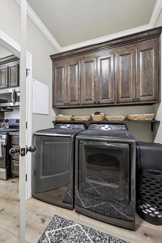 271 Hannah Ln, Lumberton, TX 77657 - laundry area with washer and dryer, crown molding, light wood-style floors, and cabinet space