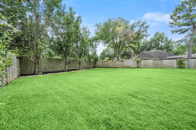 15903 Heron Trl, Tomball, TX 77377 - photo 35