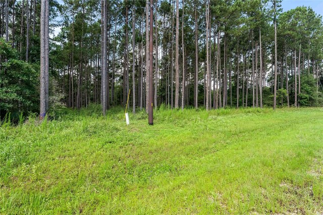 4A-16-31 Branding Iron Rd, Huntsville, TX 77340 - photo 13