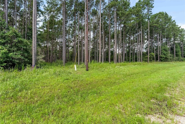 4A-16-31 Branding Iron Rd, Huntsville, TX 77340 - photo 5